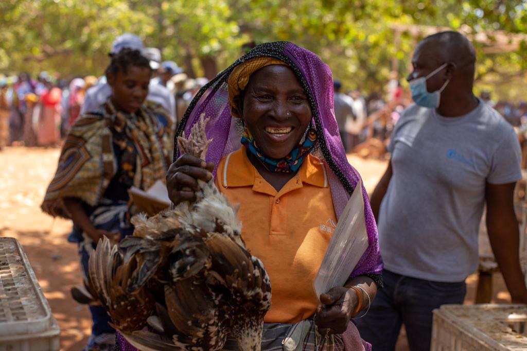 Mozambique | Chicken Distribution Project 