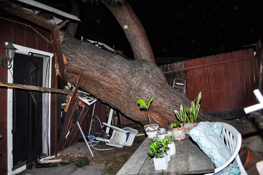 Strong Winds Wreak Havoc in San Fernando Valley