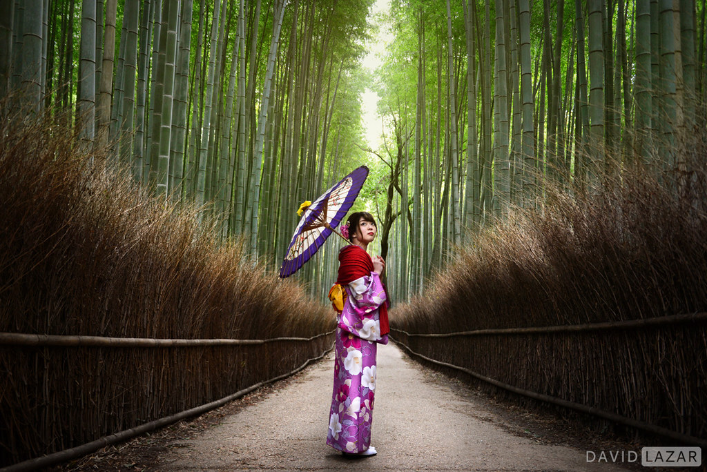 Lady in Bamboo Forest