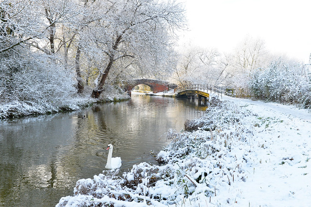 Snow on the Grand Union Canal