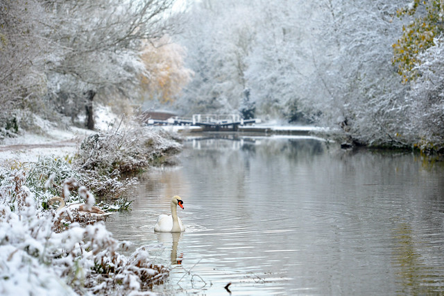 Snow on the Grand Union Canal