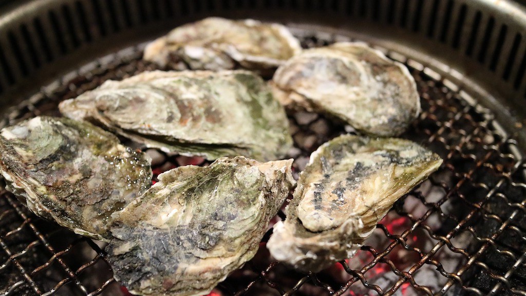 Oysters on a hot charcoal grill. 