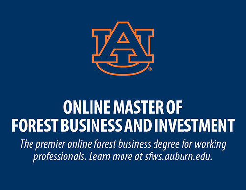 Forestry Business and Investment 01
