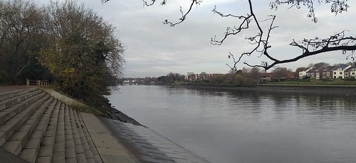 IMG_20211129_123246 Thames near Chiswick Bridge