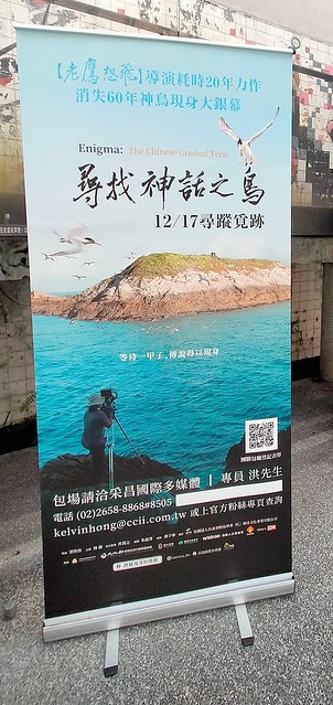 Taiwan record movie 紀錄片電影 " 尋找神話之鳥"( Enigma:The Chinese Crested Tern) will be launching in Taiwan on Dec 17, 2021.