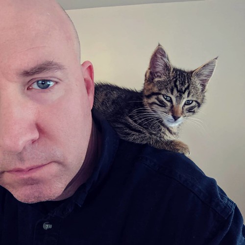 My boss has been riding me all day! Lucky for me, Clyde is getting adopted and will soon be interfering with someone else's web conferences. #catboss #adopted | by Jimmy Legs