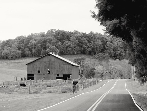 blackandwhite canon oldbarns countrylandscapes countryside appalachia farmland farms easttennessee countryroads