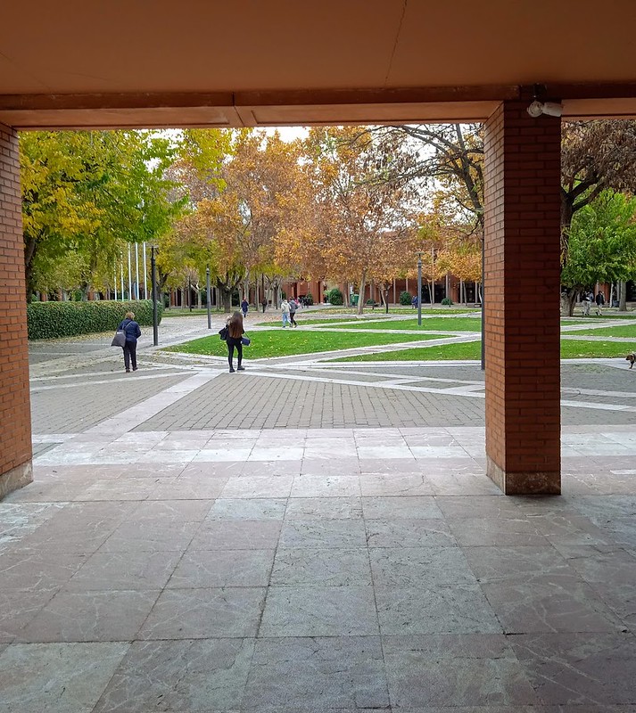 Courtyard of UC3M campus filled with patches of grass and trees with leaves changing. Students roam throughout the courtyard.