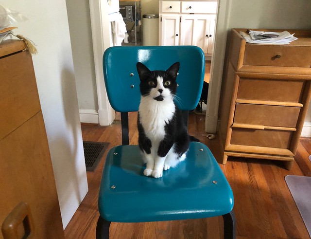 Tina in the teal chair