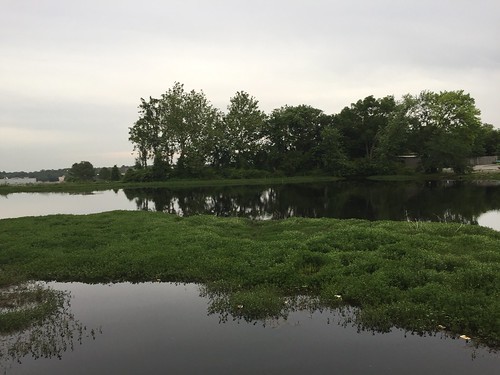 Arkansas wetland
