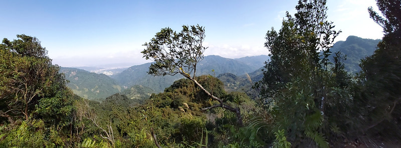 Mt. Jinminzi trail