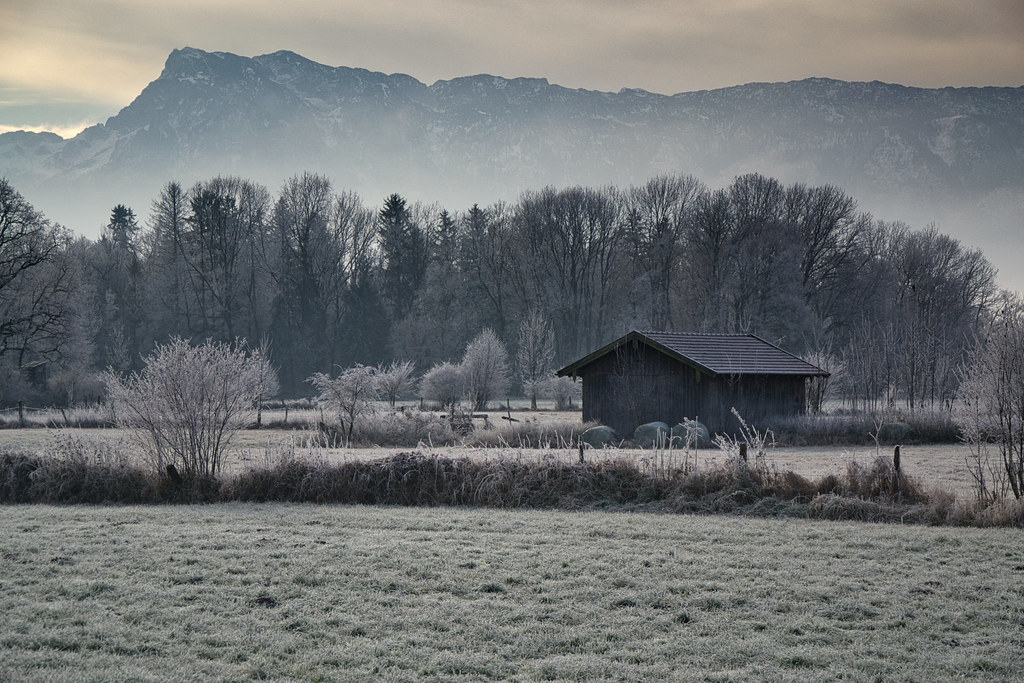 Landscape in morning frost