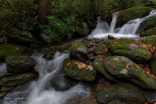 canon eos r5 ef1635mm f4l is usm autumn fall leaves landscape long exposure nature outdoor great smoky mountains roaring fork harmon caldwell polarpro