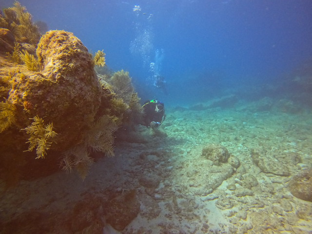 4 Nov PM 2022 Key Largo Diving 