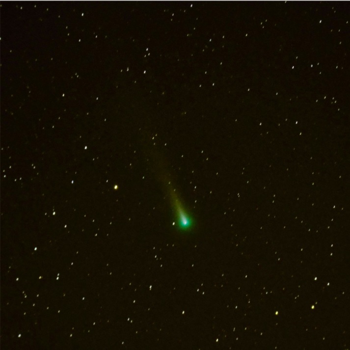 cometa-leonard2