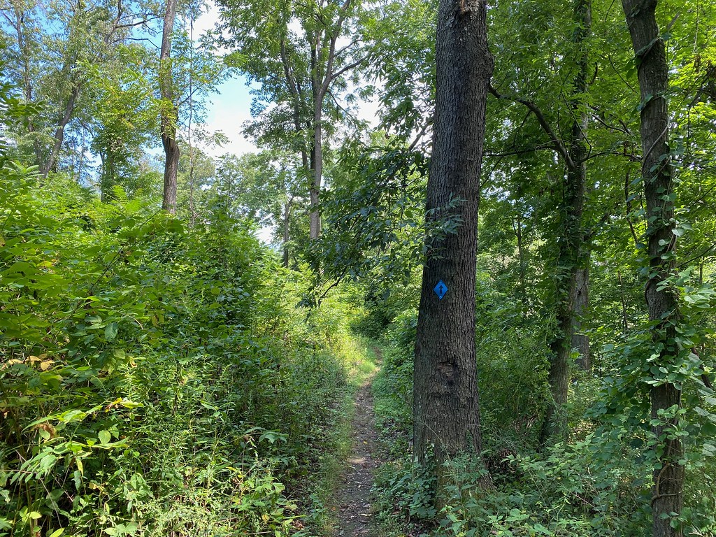 JC Calhoun Trail