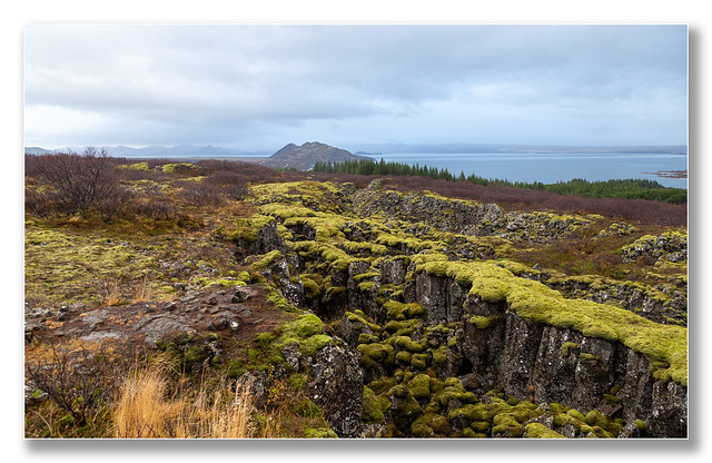Iceland - Moss Covered Basaltic Dykes at Thingvellir