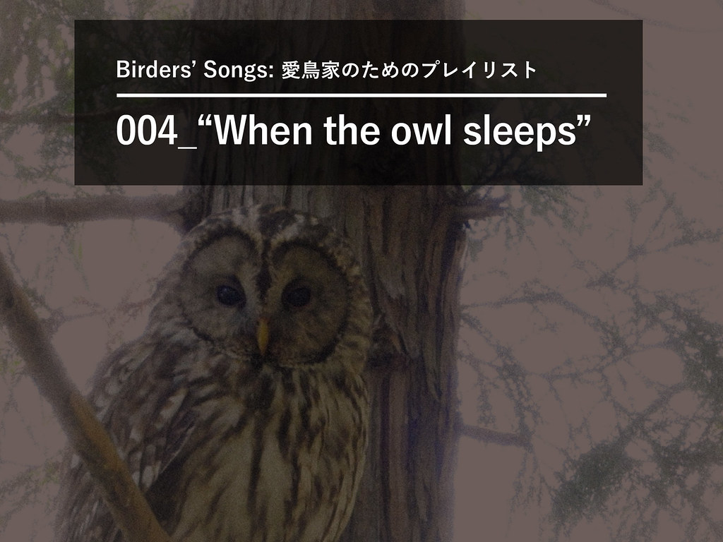 Birders-Songs-004