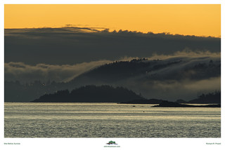 Mist Before Sunrise | by Richard R. Powell