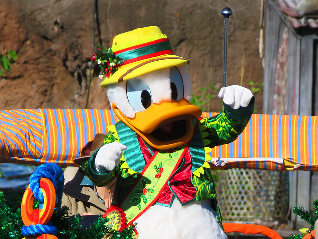 Donald Duck