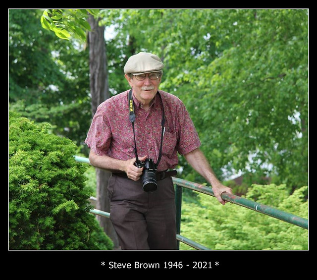 R.I.P. Steve Brown