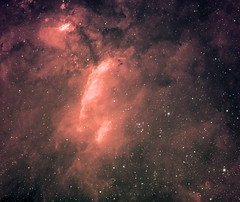 The Prawn nebula, IC 4628, from Sydney