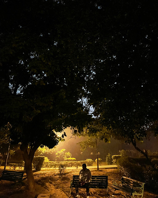 City Hangout - Winter Evening's Lodhi Garden, Central Delhi8-DD5B-4A3D-A54B-F8F1CB06760C