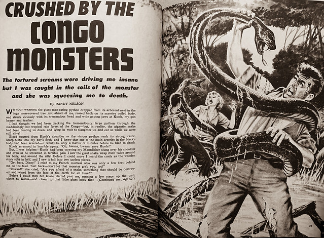 “Crushed by the Congo Monsters” by Randy Nelson, with art by Syd Shores in the magazine “Man’s Daring Action,” Vol. 1, No. 1 (June 1959).