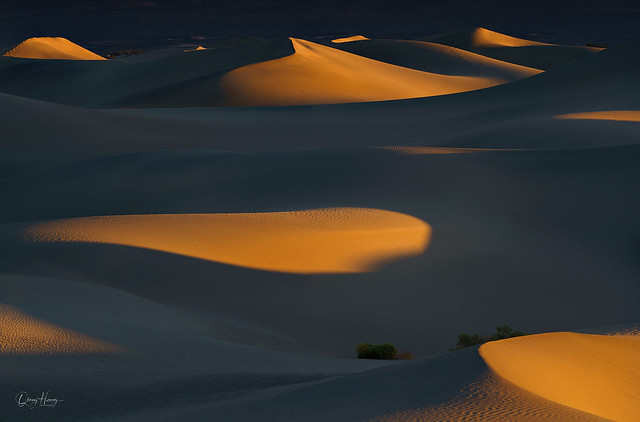 Sand dune Light and shadow