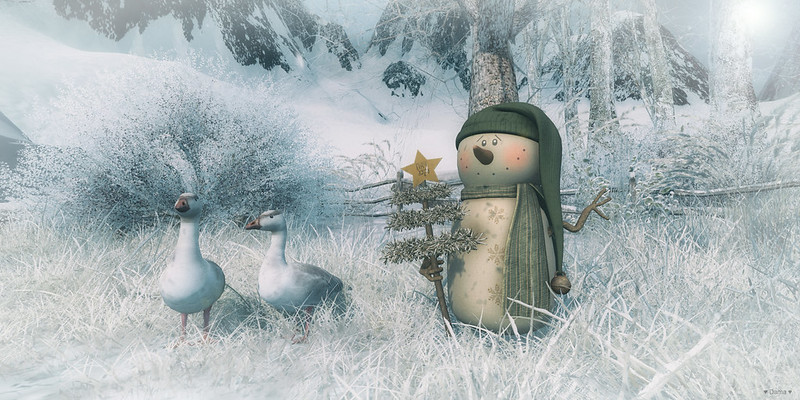 "The snowman and his feathered friends...."