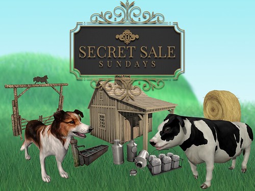 JIAN for Secret Sale Sunday | Classic Shelties, Cows & Ranch Decor | by [JIAN Pets]