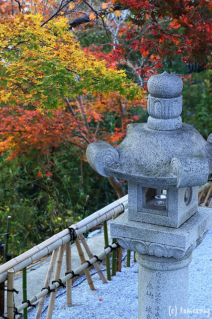 Momiji Hamchimangu Shrine