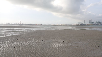 Sandy shores at Cyrene, Dec 2021