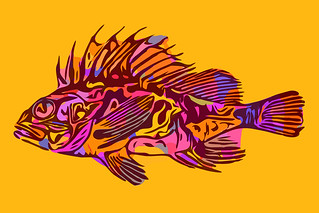South Australian Cobbler Fish | by Susan Maxwell Schmidt