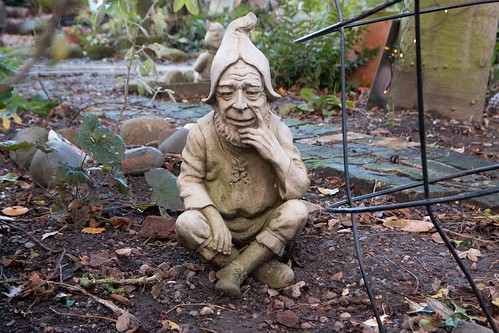 Thoughtful gnome bearded | by Ray Duffill