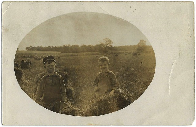 Unidentified Boys in Wheat Field. RPPC.