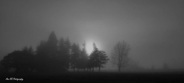 A misty morning.