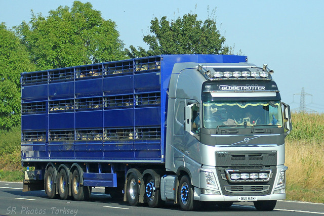 Volvo FH Livestock Transport BU11 RAM