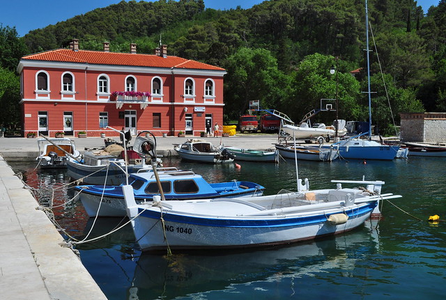 Au port, Novigrad, comitat de Zadar, Croatie, Europe.