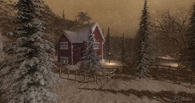 Winter in a dreamland.