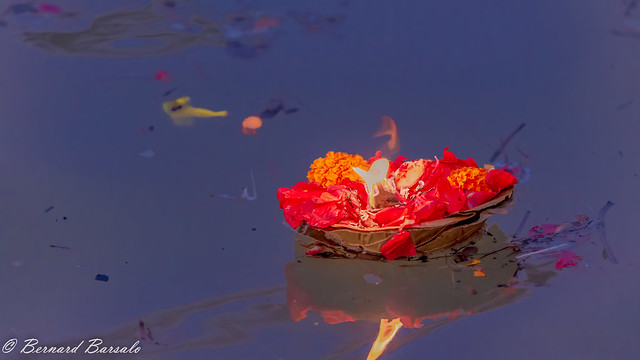 Respect des traditions - Fleurs rituelles du Puja Sacré