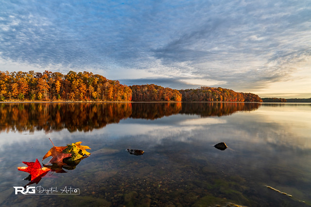 Farewell to Autumn at the Lake