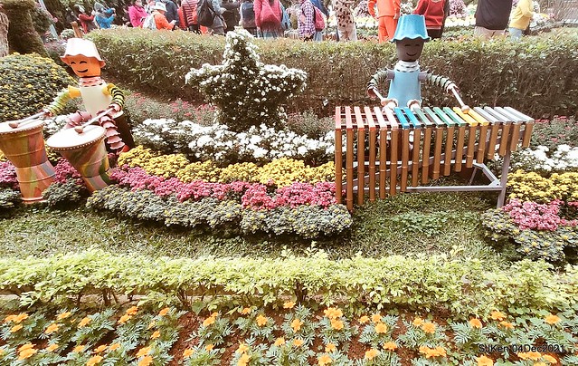 士林官邸2021「菊來運轉」花展 (Shilin  Residence Chrysanthesmum Festival), Nov 26 ~ Dec 12, 2021, Taipei, Taiwan,  SJKen, Dec 4, 2021.