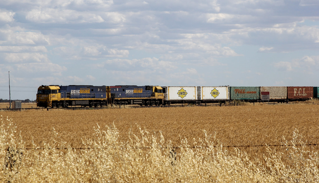 NR11 and NR93 power past a paddock of ready to harvest wheat on PM6