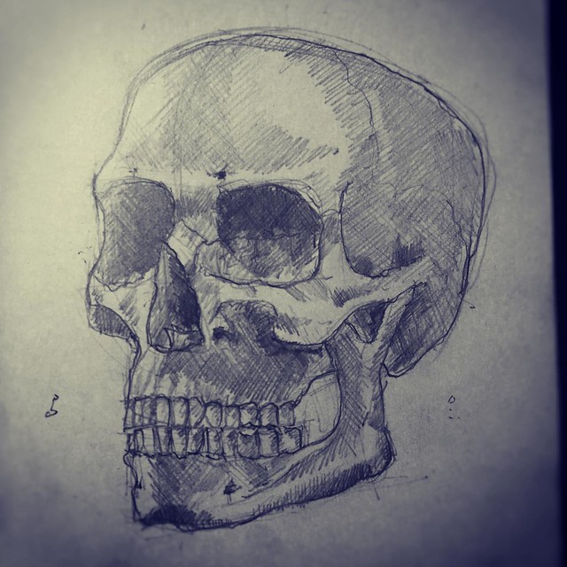 anatomy_drawing_practice