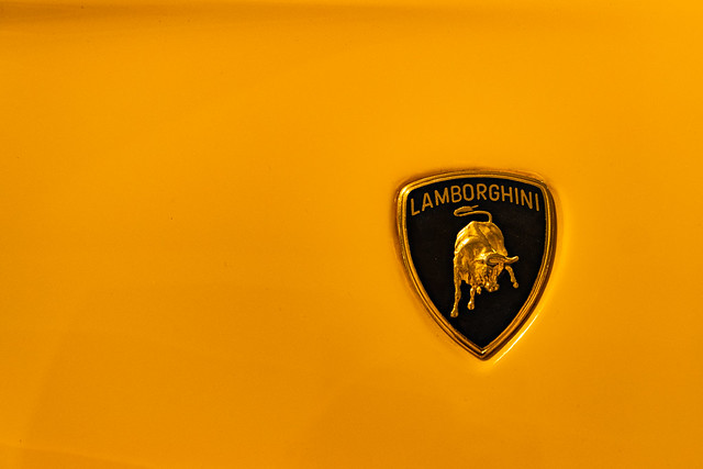 Lamborghini 338 of 365 (Year 8)