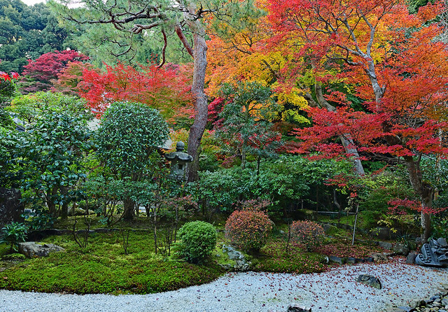 Autumn leaves at a Japanese garden in Kyoto (1)