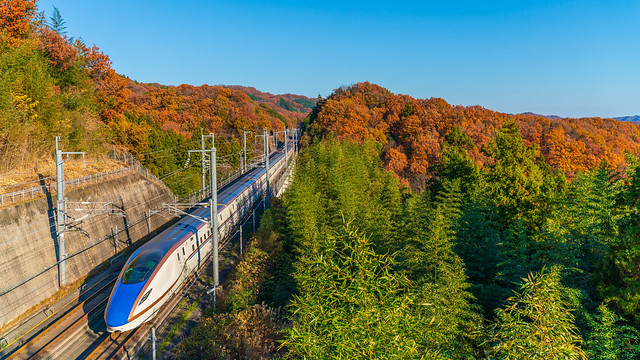Autumn Leaves (E7 Series Train Set F3)