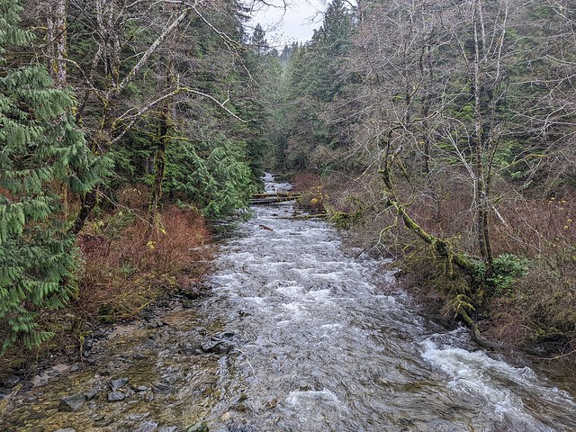 Pye Creek at the bridge