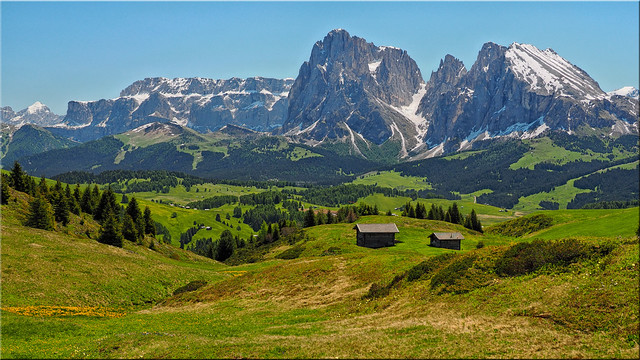 View from the Puflatsch Alm in South Tyrol to the Langkofel and the Plattkofel